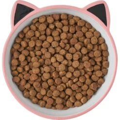Frisco Cat Face Non-skid Ceramic Cat Bowl, Pink -Pet Cat Shop 256107 PT5. AC SS1800 V1616522494