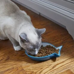 Frisco Fish Shaped Non-skid Ceramic Cat Dish 10 Frisco Fish Shaped Non-skid Ceramic Cat Dish -Pet Cat Shop 256109 PT3. AC SS1800 V1617196297