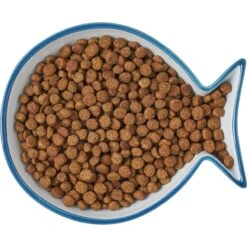 Frisco Fish Shaped Non-skid Ceramic Cat Dish 13 Frisco Fish Shaped Non-skid Ceramic Cat Dish -Pet Cat Shop 256109 PT6. AC SS1800 V1617196895