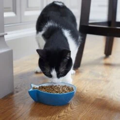 Frisco Fish Shaped Non-skid Ceramic Cat Bowl -Pet Cat Shop 256111 PT6. AC SS1800 V1617037703