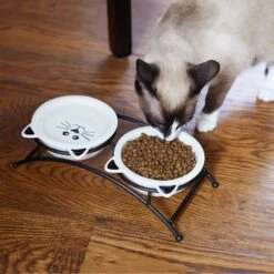 Frisco Cat Face Non-skid Elevated Double Ceramic Cat Bowl 8 Frisco Cat Face Non-skid Elevated Double Ceramic Cat Bowl -Pet Cat Shop 256113 PT2. AC SS1800 V1616522604