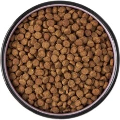 Frisco Paris Non-skid Ceramic Cat Dish -Pet Cat Shop 256117 PT5. AC SS1800 V1615311392