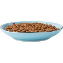 Frisco New York Non-skid Ceramic Cat Dish 12 Frisco New York Non-skid Ceramic Cat Dish -Pet Cat Shop 256119 PT5. AC SS1800 V1618494742