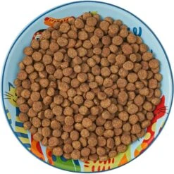 Frisco New York Non-skid Ceramic Cat Dish 13 Frisco New York Non-skid Ceramic Cat Dish -Pet Cat Shop 256119 PT6. AC SS1800 V1617196905