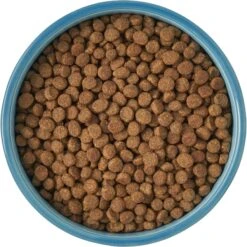 Frisco New York Non-skid Ceramic Cat Bowl -Pet Cat Shop 256121 PT5. AC SS1800 V1615311387