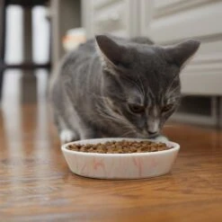 Frisco Marble Design Non-skid Ceramic Cat Bowl -Pet Cat Shop 256125 PT6. AC SS1800 V1617037714