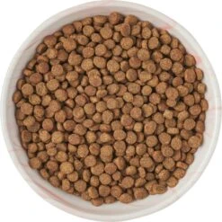 Frisco Marble Design Non-skid Ceramic Cat Dish -Pet Cat Shop 256127 PT5. AC SS1800 V1615321285