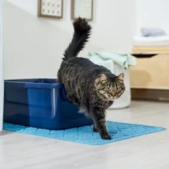 Frisco Quilted Cat Litter Mat -Pet Cat Shop 258210 PT3. AC SS1800 V1675279933
