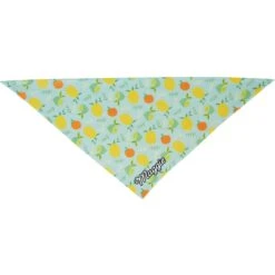 Frisco Citrus Personalized Dog & Cat Bandana -Pet Cat Shop 258758 PT3. AC SS1800 V1619559797