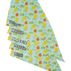 Frisco Citrus Personalized Dog & Cat Bandana -Pet Cat Shop 258758 PT4. AC SS1800 V1619558899