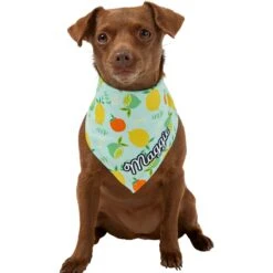 Frisco Citrus Personalized Dog & Cat Bandana -Pet Cat Shop 258758 PT6. AC SS1800 V1619560354