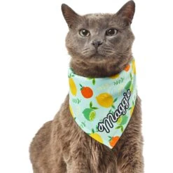 Frisco Citrus Personalized Dog & Cat Bandana -Pet Cat Shop 258758 PT7. AC SS1800 V1619560408