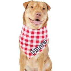 Frisco Gingham Personalized Dog & Cat Bandana 15 Frisco Gingham Personalized Dog & Cat Bandana -Pet Cat Shop 258775 PT6. AC SS1800 V1619558303