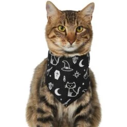 Frisco Glow In The Dark Mystical Print Dog & Cat Bandana -Pet Cat Shop 261218 PT2. AC SS1800 V1633086982