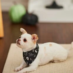 Frisco Glow In The Dark Mystical Print Dog & Cat Bandana -Pet Cat Shop 261218 PT5. AC SS1800 V1633057869