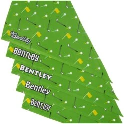 Frisco Golf Personalized Dog & Cat Bandana 13 Frisco Golf Personalized Dog & Cat Bandana -Pet Cat Shop 263017 PT4. AC SS1800 V1619807852