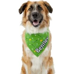 Frisco Golf Personalized Dog & Cat Bandana 15 Frisco Golf Personalized Dog & Cat Bandana -Pet Cat Shop 263017 PT6. AC SS1800 V1619557636