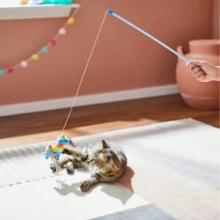 Frisco Pinata Teaser Wand Cat Toy With Catnip -Pet Cat Shop 264446 PT3. AC SS1800 V1618948636