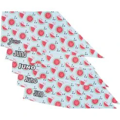 Frisco Watermelons Personalized Dog & Cat Bandana -Pet Cat Shop 267458 PT4. AC SS1800 V1632428809