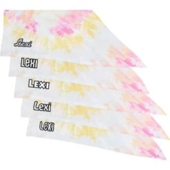 Frisco Tiedye Personalized Dog & Cat Bandana -Pet Cat Shop 267482 PT4. AC SS1800 V1632416499