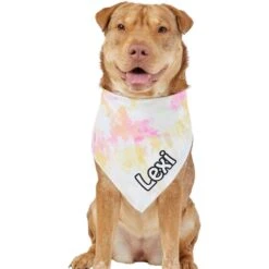 Frisco Tiedye Personalized Dog & Cat Bandana -Pet Cat Shop 267482 PT6. AC SS1800 V1632428490