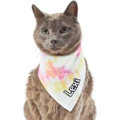 Frisco Tiedye Personalized Dog & Cat Bandana -Pet Cat Shop 267482 PT7. AC SS1800 V1632420107