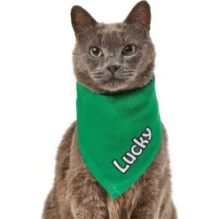Frisco Solid Color Personalized Dog & Cat Bandana 16 Frisco Solid Color Personalized Dog & Cat Bandana -Pet Cat Shop 267489 PT7. AC SS1800 V1632431774