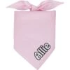 Frisco Solid Pastel Personalized Dog & Cat Bandana
