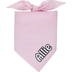 Frisco Solid Pastel Personalized Dog & Cat Bandana