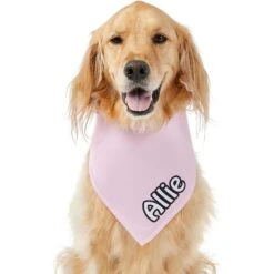 Frisco Solid Pastel Personalized Dog & Cat Bandana -Pet Cat Shop 267514 PT6. AC SS1800 V1632417387