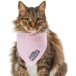Frisco Solid Pastel Personalized Dog & Cat Bandana -Pet Cat Shop 267514 PT7. AC SS1800 V1632434472
