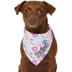 Frisco Bright Floral Personalized Dog & Cat Bandana -Pet Cat Shop 267535 PT7. AC SS1800 V1623164573