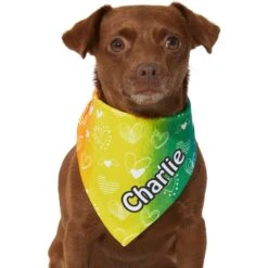 Frisco Rainbow Hearts Personalized Dog & Cat Bandana 14 Frisco Rainbow Hearts Personalized Dog & Cat Bandana -Pet Cat Shop 267539 PT5. AC SS1800 V1632432071