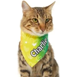 Frisco Rainbow Hearts Personalized Dog & Cat Bandana 15 Frisco Rainbow Hearts Personalized Dog & Cat Bandana -Pet Cat Shop 267539 PT6. AC SS1800 V1632420703