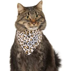 Frisco Leopard Print Personalized Dog & Cat Bandana -Pet Cat Shop 267543 PT8. AC SS1800 V1623164342