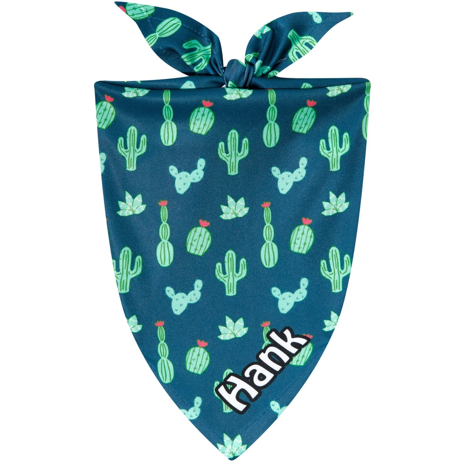 Frisco Cactus Personalized Dog & Cat Bandana 1 Frisco Cactus Personalized Dog & Cat Bandana