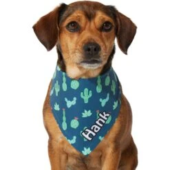 Frisco Cactus Personalized Dog & Cat Bandana 14 Frisco Cactus Personalized Dog & Cat Bandana -Pet Cat Shop 267551 PT7. AC SS1800 V1623164614