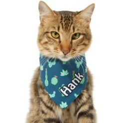 Frisco Cactus Personalized Dog & Cat Bandana 15 Frisco Cactus Personalized Dog & Cat Bandana -Pet Cat Shop 267551 PT8. AC SS1800 V1623164657
