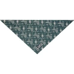 Frisco Boho Geo Personalized Dog & Cat Bandana 11 Frisco Boho Geo Personalized Dog & Cat Bandana -Pet Cat Shop 267559 PT3. AC SS1800 V1623094369