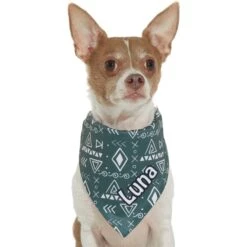 Frisco Boho Geo Personalized Dog & Cat Bandana 14 Frisco Boho Geo Personalized Dog & Cat Bandana -Pet Cat Shop 267559 PT7. AC SS1800 V1623164863