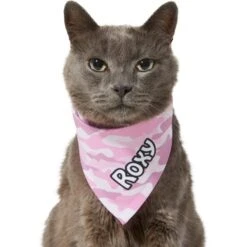 Frisco Pink Camo Personalized Dog & Cat Bandana 15 Frisco Pink Camo Personalized Dog & Cat Bandana -Pet Cat Shop 267567 PT8. AC SS1800 V1623164559