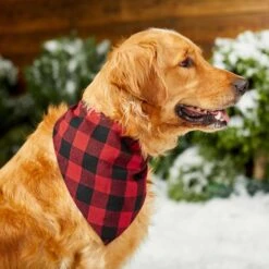 Red Buffalo Plaid Dog & Cat Bandana -Pet Cat Shop 267899 PT5. AC SS1800 V1637666506