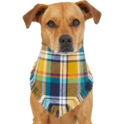 Frisco Blue/Yellow Plaid Dog & Cat Flannel Bandana -Pet Cat Shop 267901 PT2. AC SS1800 V1637717796