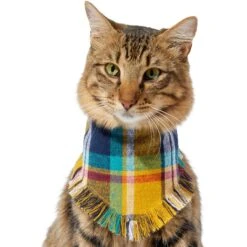 Frisco Blue/Yellow Plaid Dog & Cat Flannel Bandana -Pet Cat Shop 267901 PT3. AC SS1800 V1637677287
