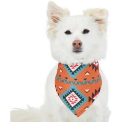 Frisco Southwest Dog & Cat Bandana -Pet Cat Shop 267904 PT2. AC SS1800 V1637708793