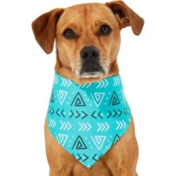 Frisco Geometric Dog & Cat Bandana 10 Frisco Geometric Dog & Cat Bandana -Pet Cat Shop 267907 PT2. AC SS1800 V1637653589