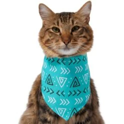 Frisco Geometric Dog & Cat Bandana 11 Frisco Geometric Dog & Cat Bandana -Pet Cat Shop 267907 PT3. AC SS1800 V1637678544