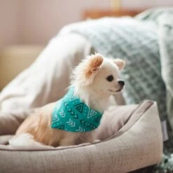 Frisco Geometric Dog & Cat Bandana 13 Frisco Geometric Dog & Cat Bandana -Pet Cat Shop 267907 PT5. AC SS1800 V1637652153