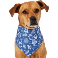 Frisco Fall Vibes Dog & Cat Bandana -Pet Cat Shop 267913 PT2. AC SS1800 V1637722647