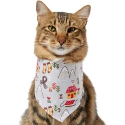 Frisco Wintry Vibes Dog & Cat Bandana 11 Frisco Wintry Vibes Dog & Cat Bandana -Pet Cat Shop 267916 PT3. AC SS1800 V1637657814